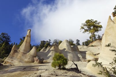 FREE Best Of Tenerife Guided Tour*